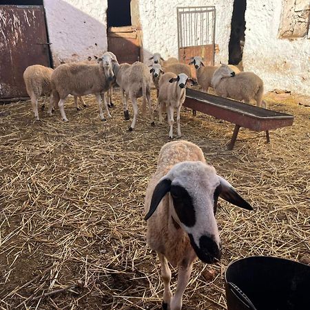 Khaima Oulad Abbou Esterno foto