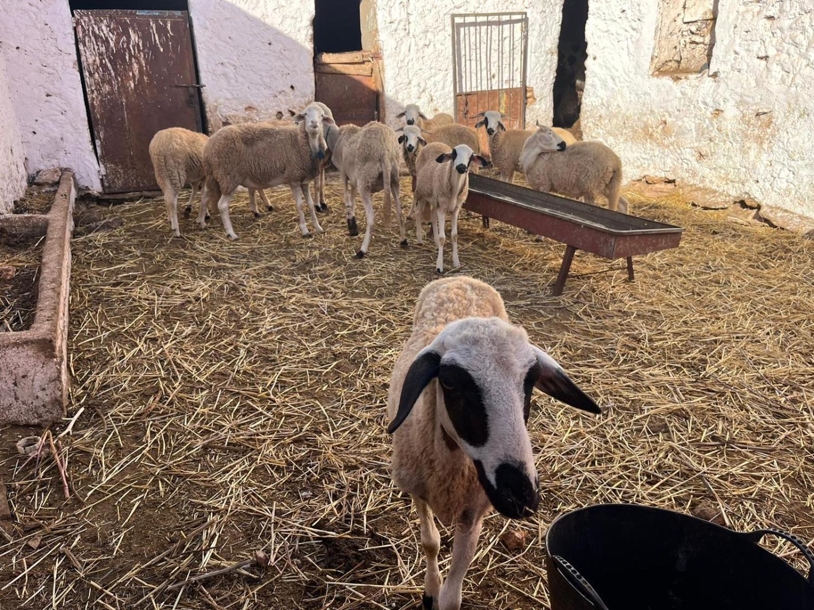 Khaima Oulad Abbou Esterno foto